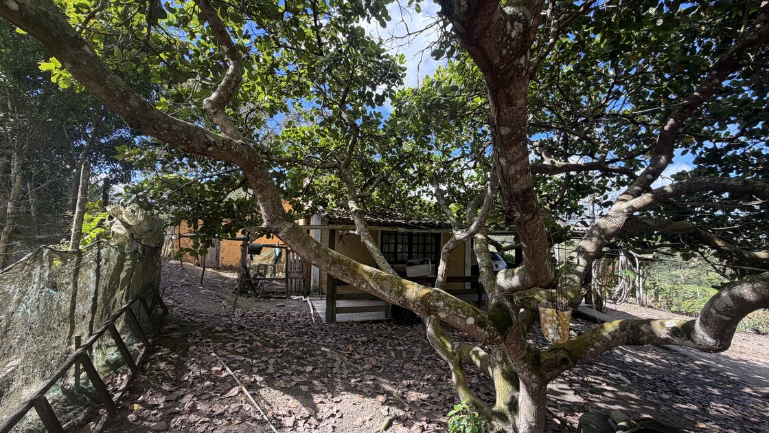 Fazenda Santa Alice – 38 ha às margens do Rio Ipojuca, Chã Grande/PE - foto 11