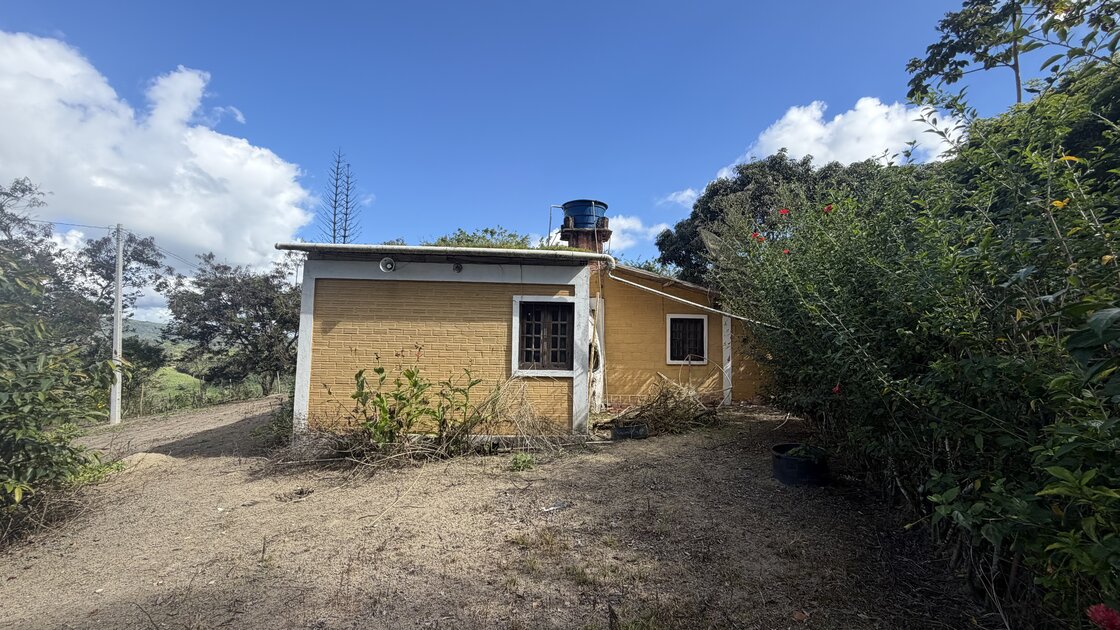 Fazenda Santa Alice – 38 ha às margens do Rio Ipojuca, Chã Grande/PE - foto 12