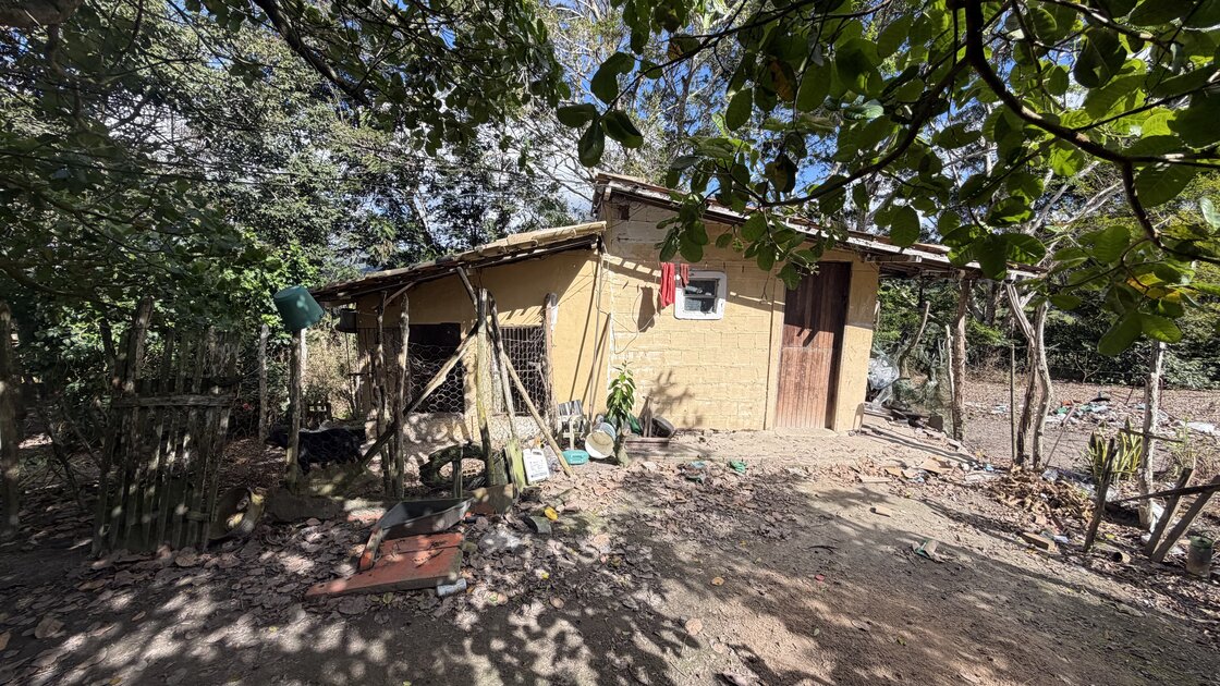 Fazenda Santa Alice – 38 ha às margens do Rio Ipojuca, Chã Grande/PE - foto 16