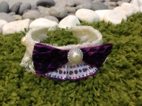 [寵物] 裝飾頸帶 手作課程