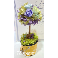 [保鮮花] 製作工作坊 - 花樹 手作課程