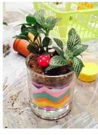 [植物] 彩沙盆景 手作課程