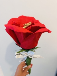 [紙藝] 母親節或畢業巨型紙藝玫瑰花手作課程