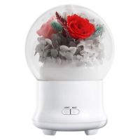 [保鮮花] 製作工作坊 - 香薰加濕機 手作課程