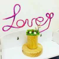 [霓紅燈] 小盆景手作課程