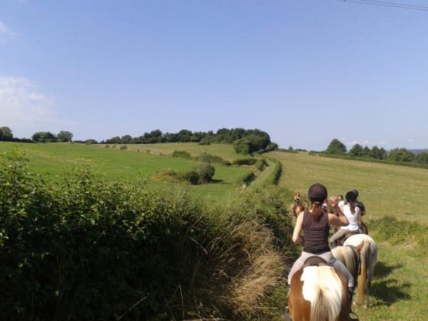 Promenades à cheval ou à poney, stages et séjours ados