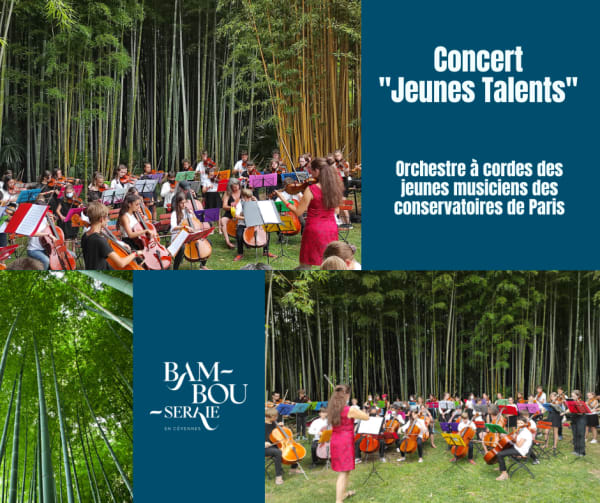 Les Jeunes Talents en concert à la Bambouseraie en Cévennes🎶🌿