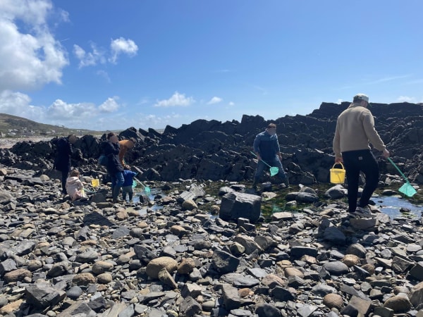 Découverte de la pêche à pied