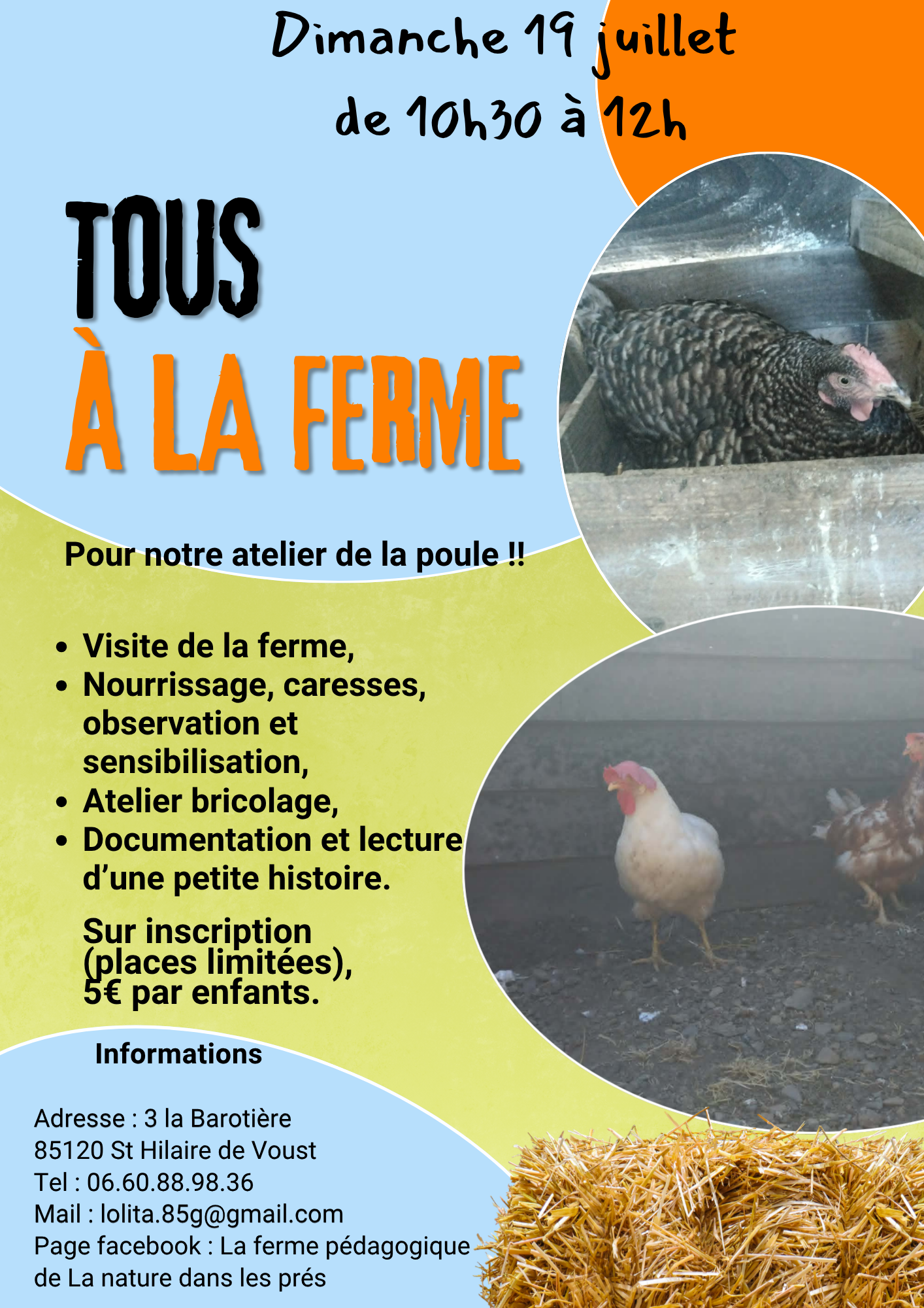 Atelier de la poule