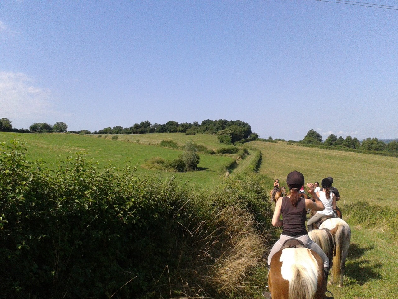 Promenades à cheval ou à poney, stages et séjours ados