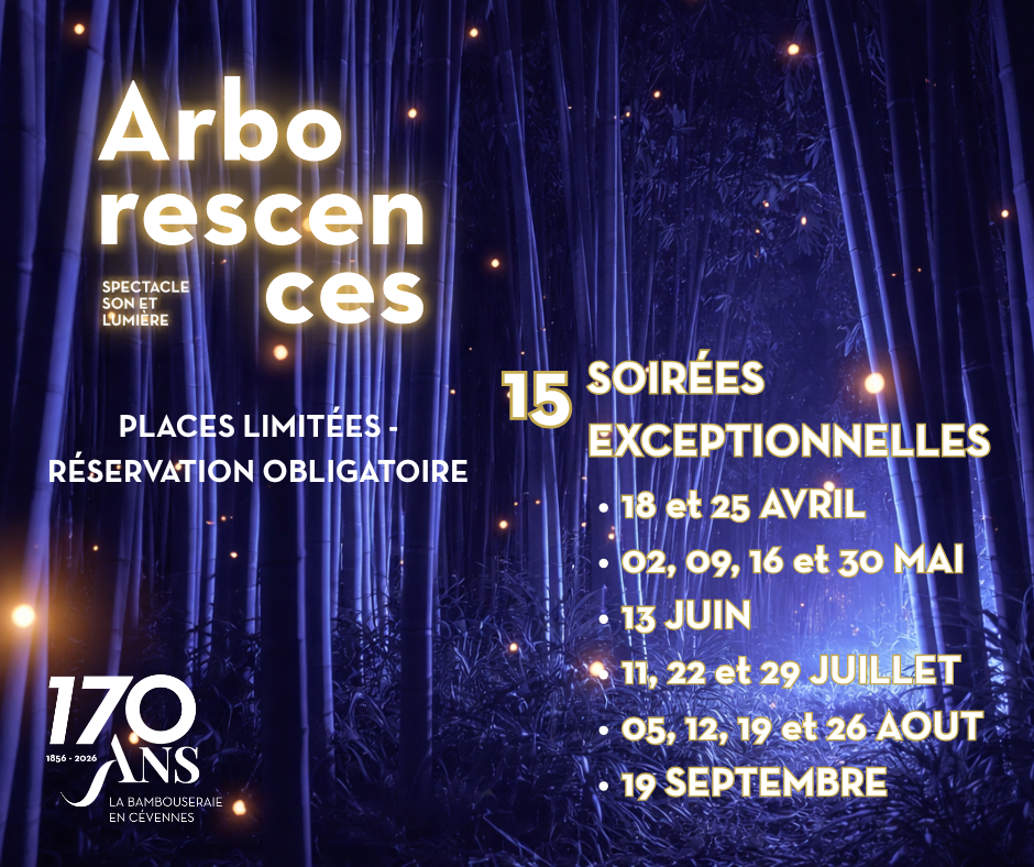 Les Nocturnes « Arborescences », La Bambouseraie en Cévennes