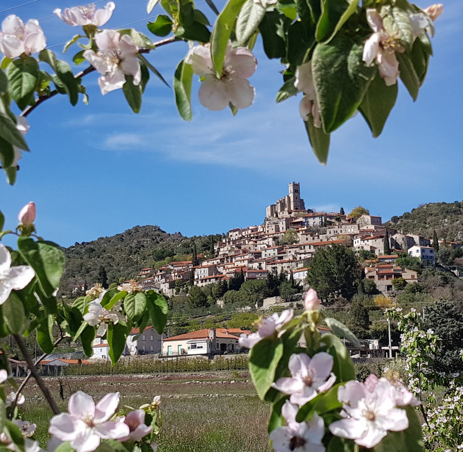 LES BALADES DU CONFLENT : "VISITE DU VILLAGE ET DE L'ÉGLISE D'EUS"