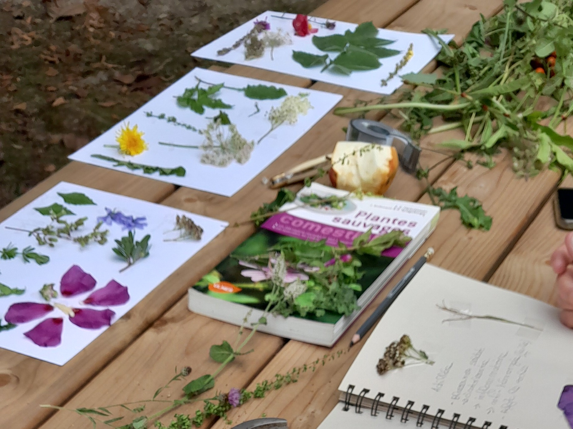 Ateliers herbier et torchis au Musée du Paysan Gascon