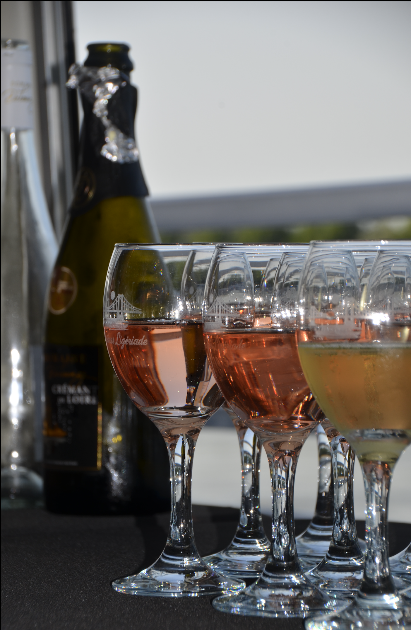 CROISIERES HORIZON ROSE _ Dégustation de vins et produits locaux