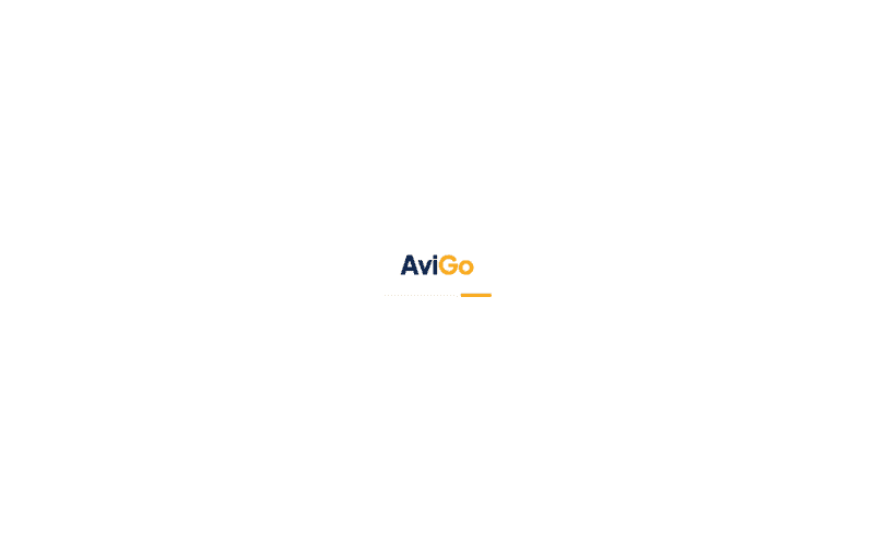 The Avigo Travel