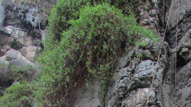 Beyond Colombia Tours | Suesca Rock Climbing Experience