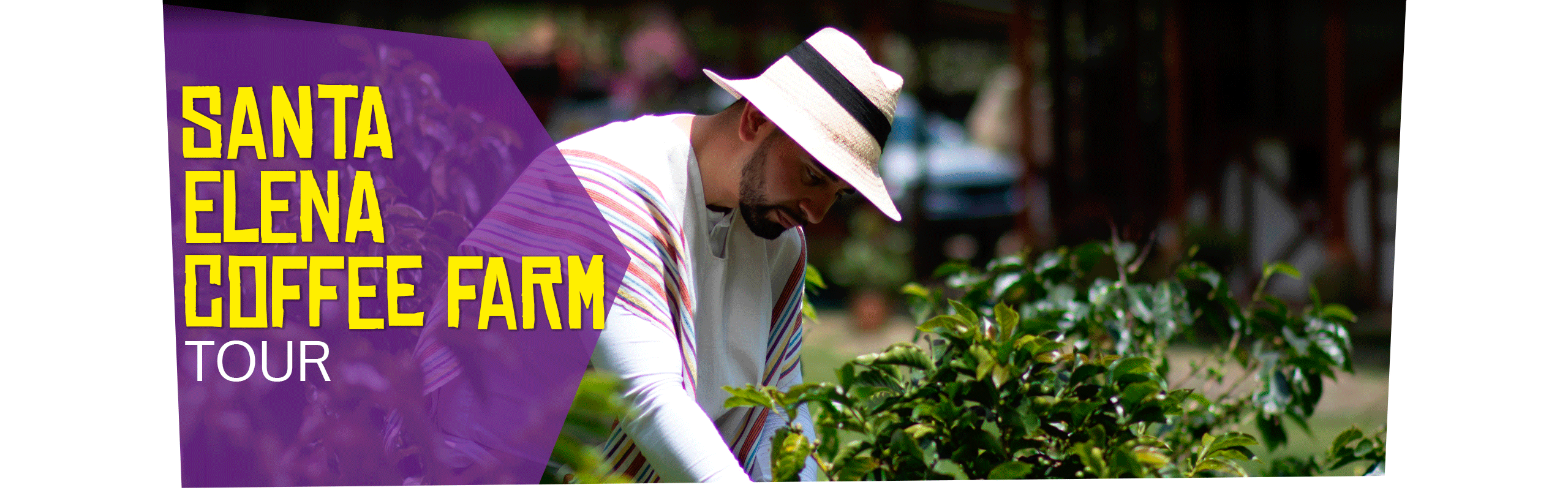 Beyond Colombia Tours | Tour: Coffee Farm Experience in Santa Elena