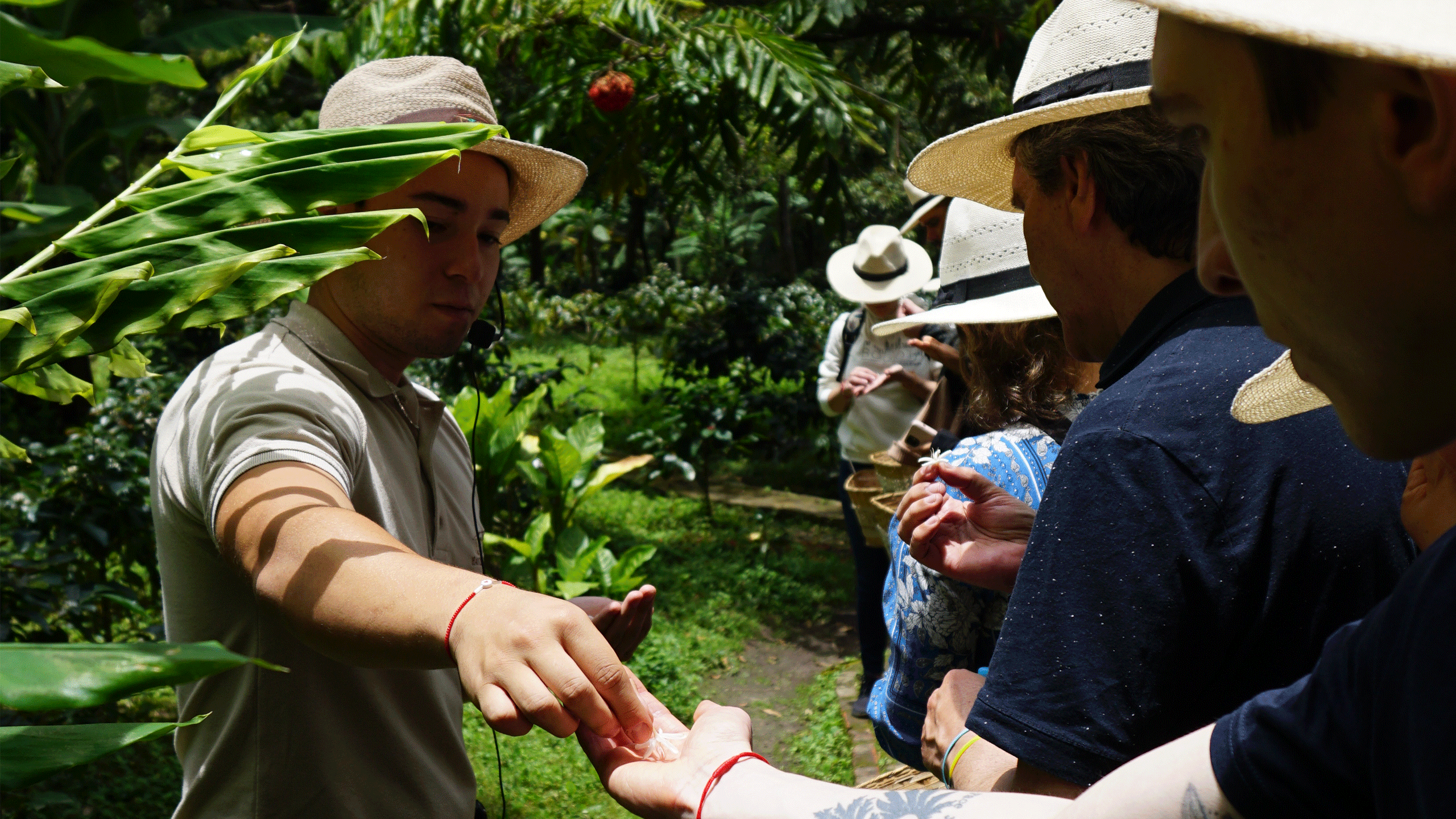 Beyond Colombia Tours | Tour: Local Coffee Farm Experience