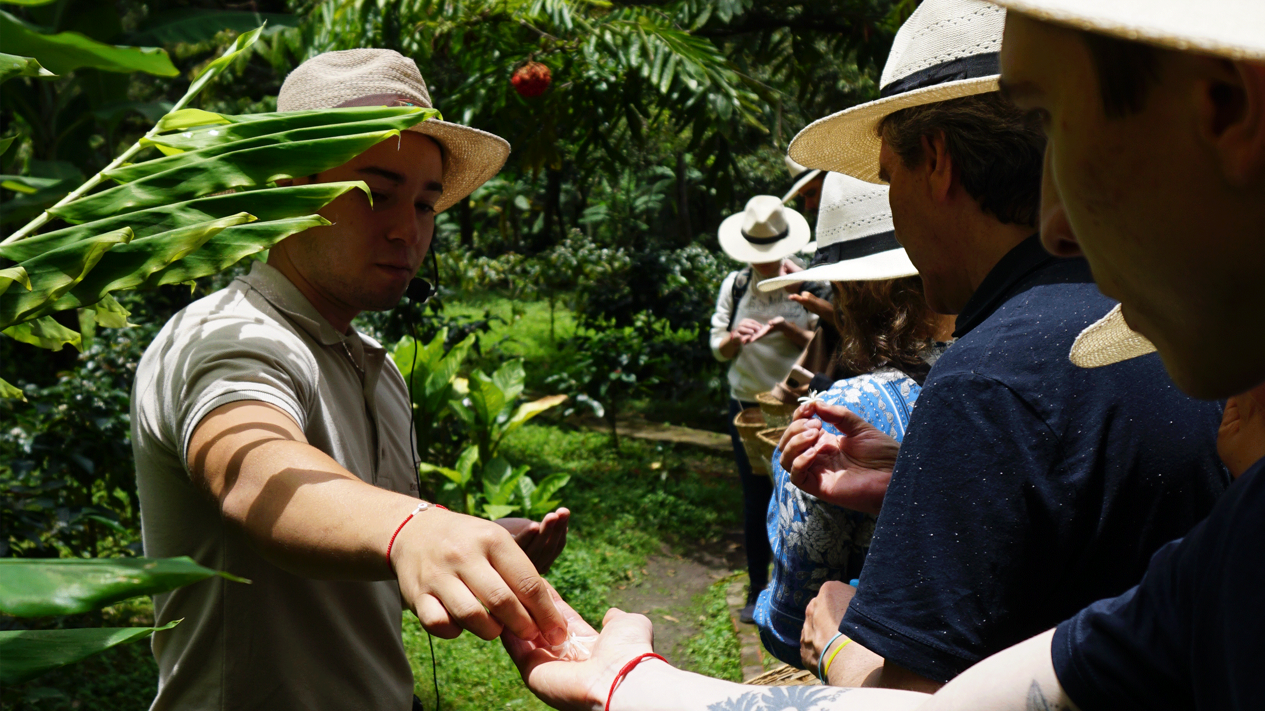 Beyond Colombia Tours | Tour: Experiencia Local de Finca Cafetera