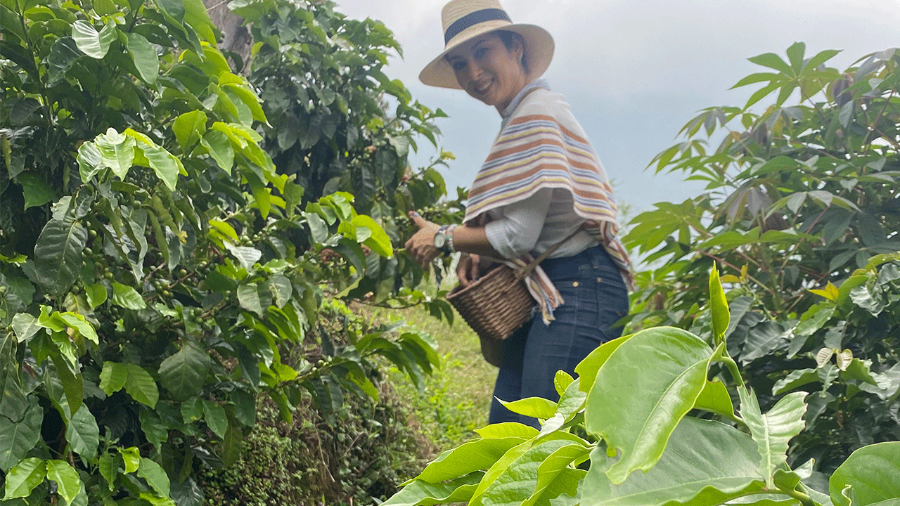 Beyond Colombia Tours | Medellín BC Buddy