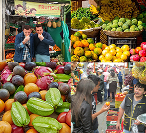 Beyond Colombia Tours | Exotic Fruit Tour at Paloquemao Market