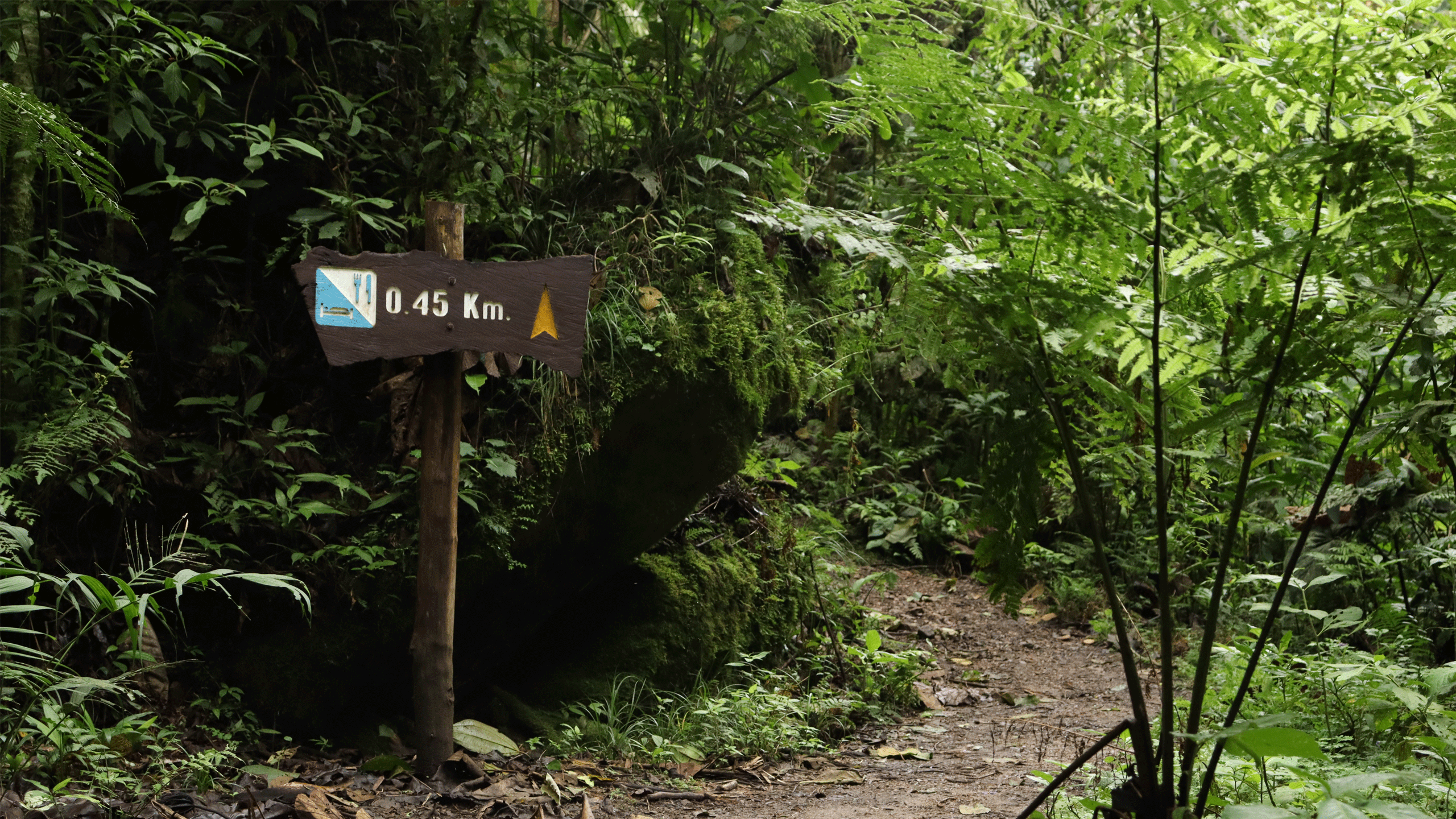 Beyond Colombia Tours | Tour: Tour Caminata Parque Natural Chicaque