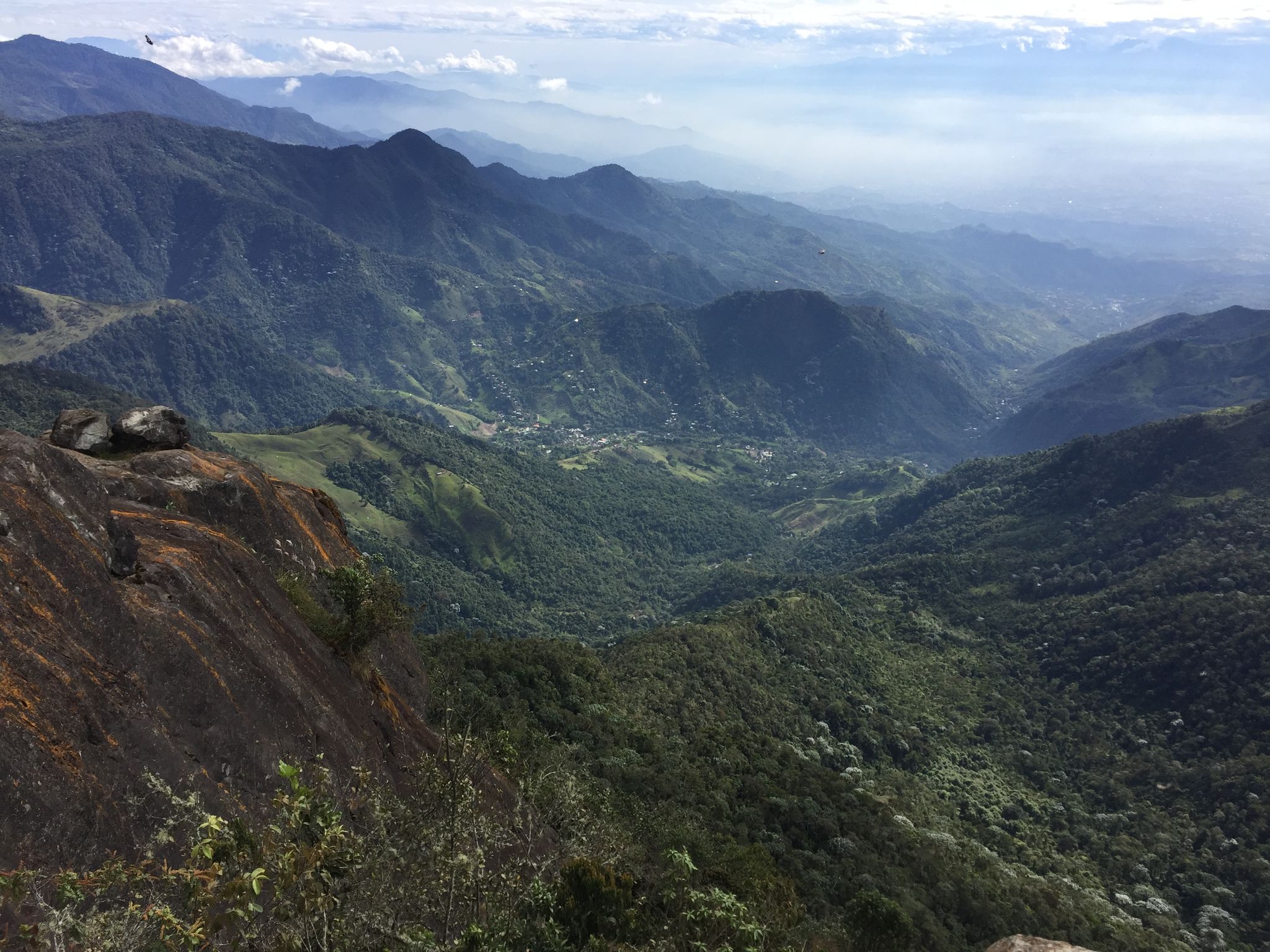 Beyond Colombia Tours | Tour: Pico Loro Mountain Hike Tour