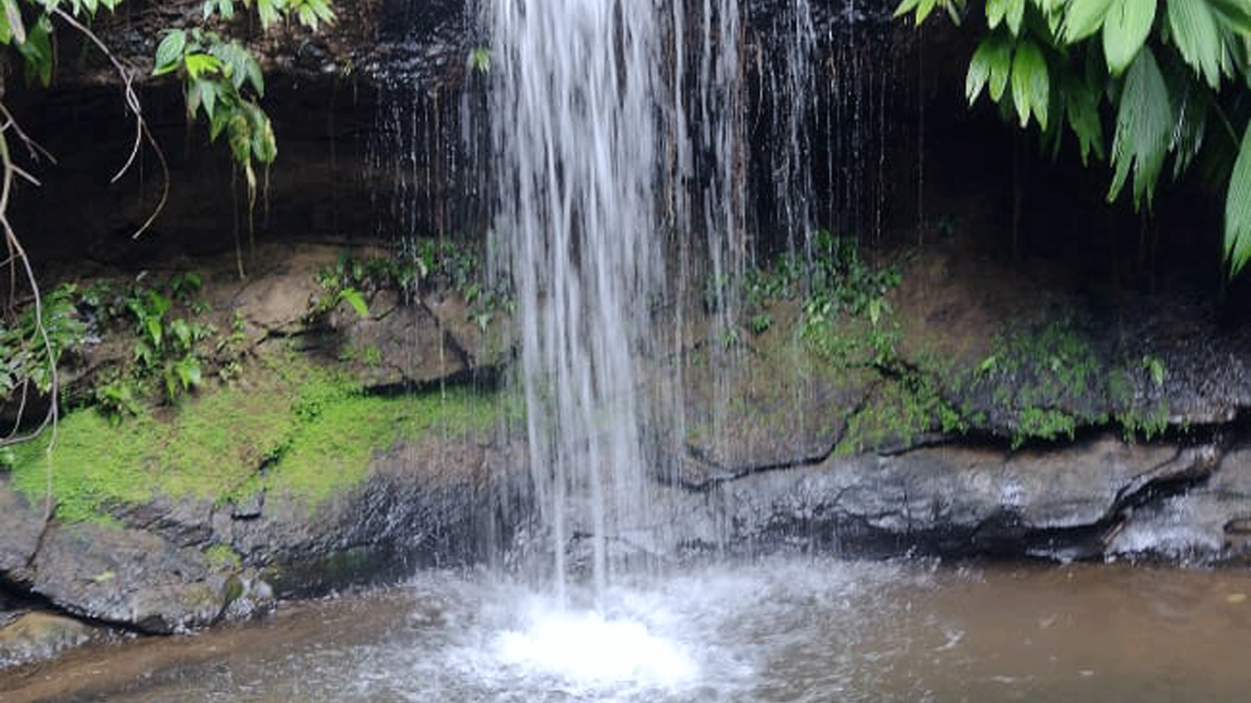 Beyond Colombia Tours | Tour: San Cipriano Experiencia de Tubing