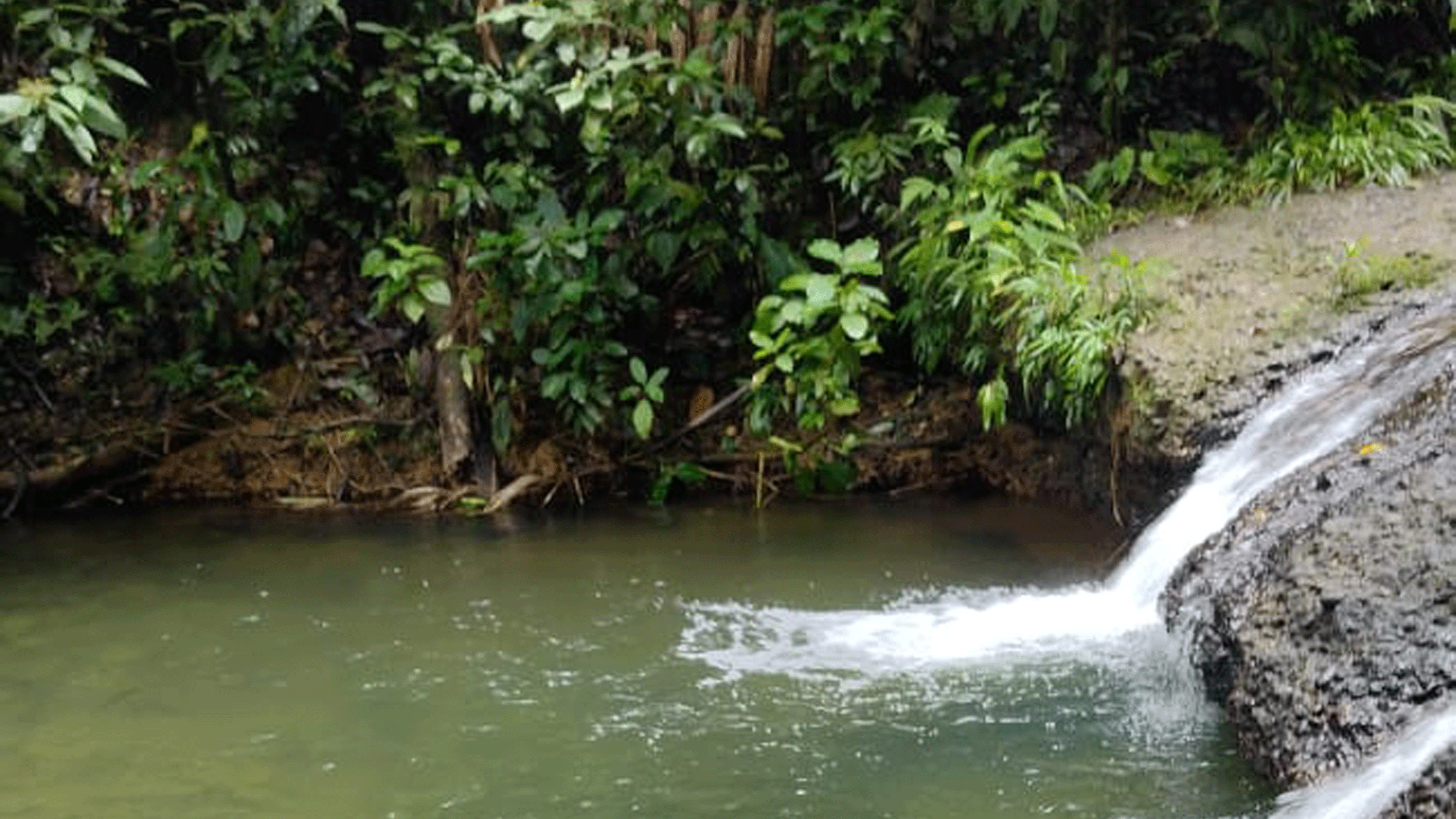 Beyond Colombia Tours | Tour: San Cipriano Experiencia de Tubing