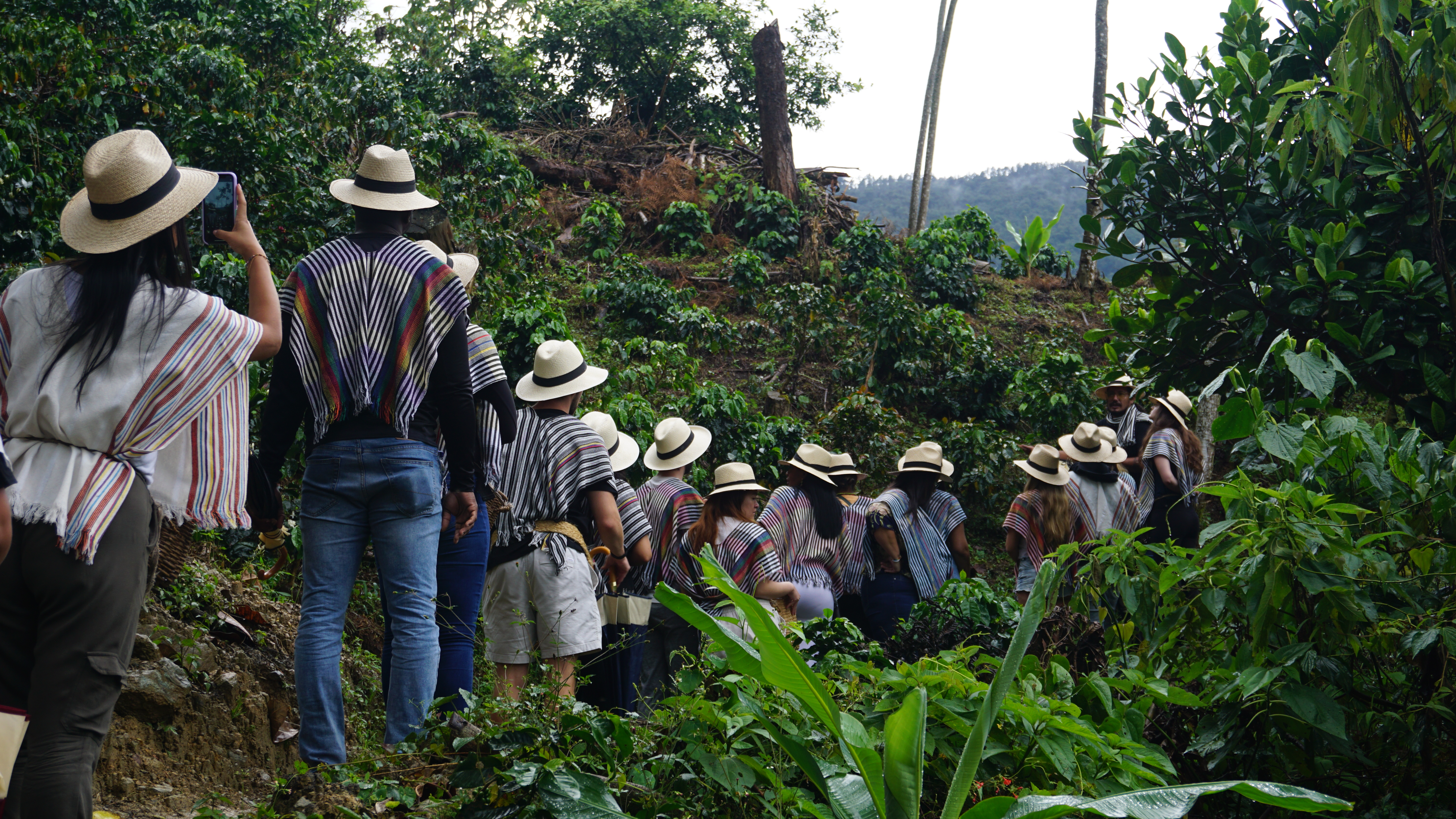 Beyond Colombia Tours | Tour: Coffee Farm Experience in Santa Elena