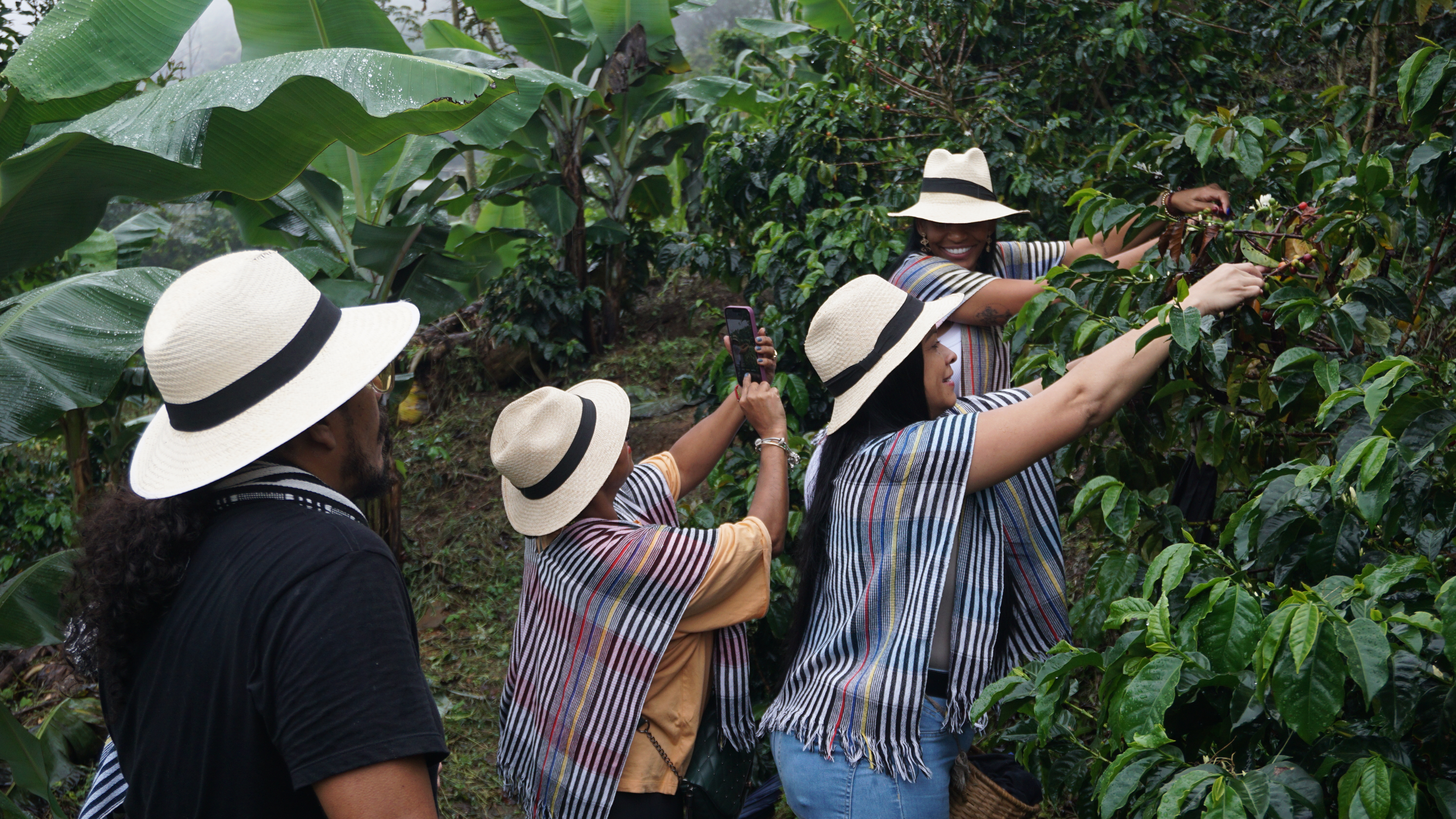 Beyond Colombia Tours | Tour: Experiencia Finca Cafetera en Santa Elena