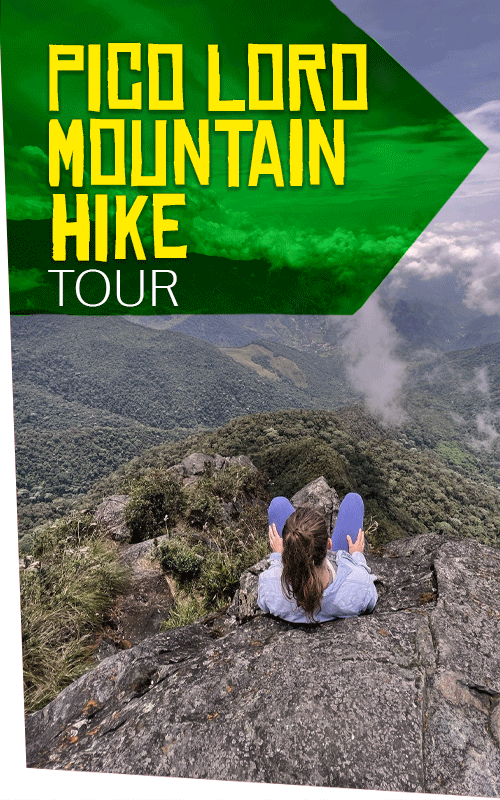 Beyond Colombia Tours | Tour: Tour Caminata Pico Loro