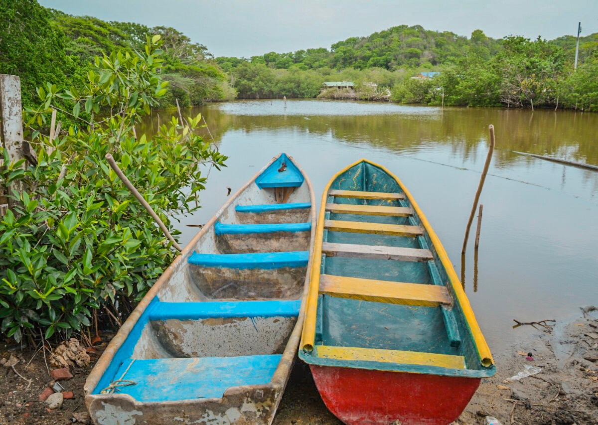 Beyond Colombia Tours | Tour: Mangroves Tour in Cartagena