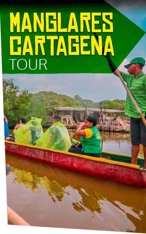 Beyond Colombia Tours | Tour: Tour de Manglares en Cartagena