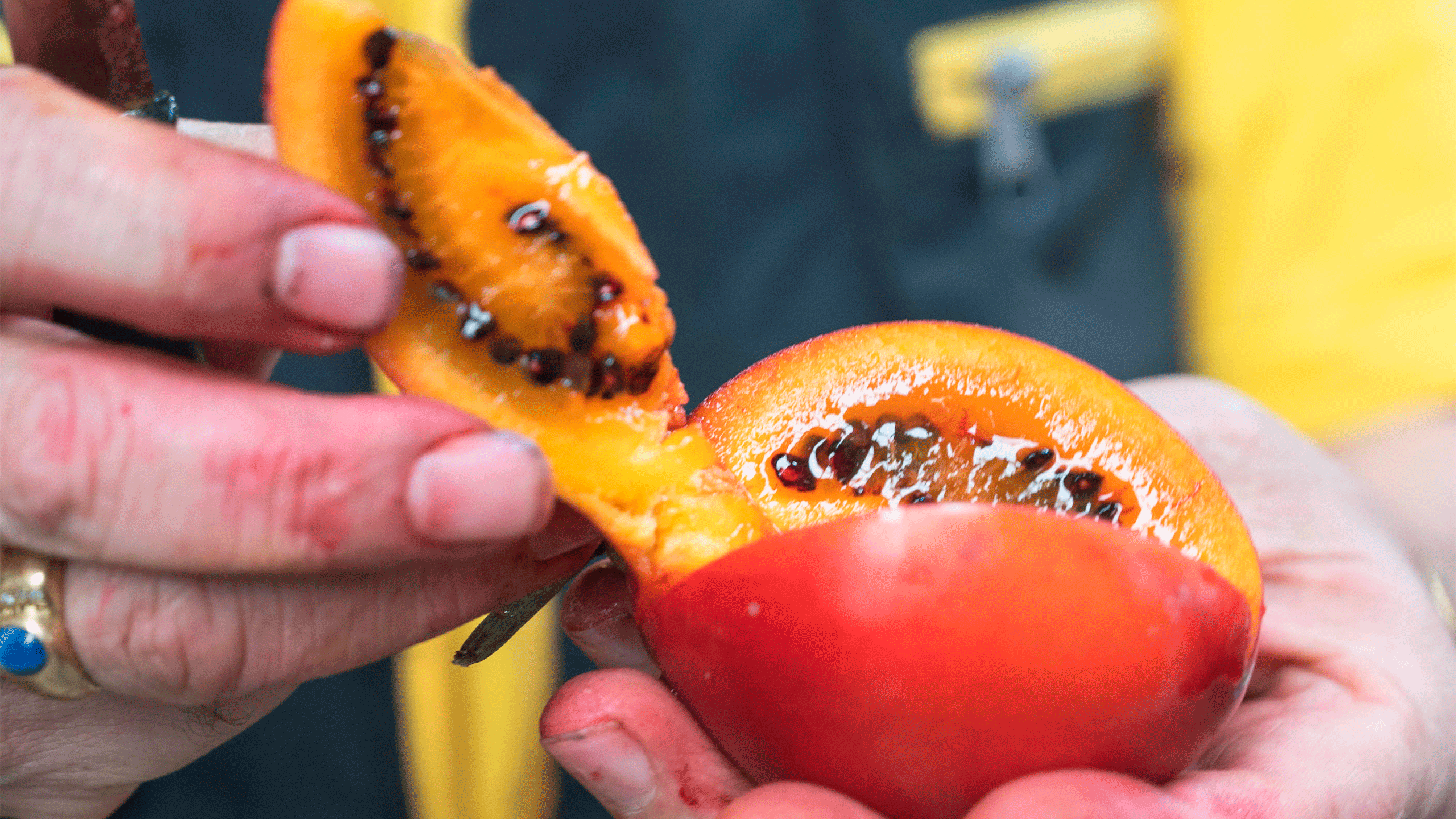 Beyond Colombia Tours | Tour: Tour de Frutas Exóticas en el Mercado de Paloquemao