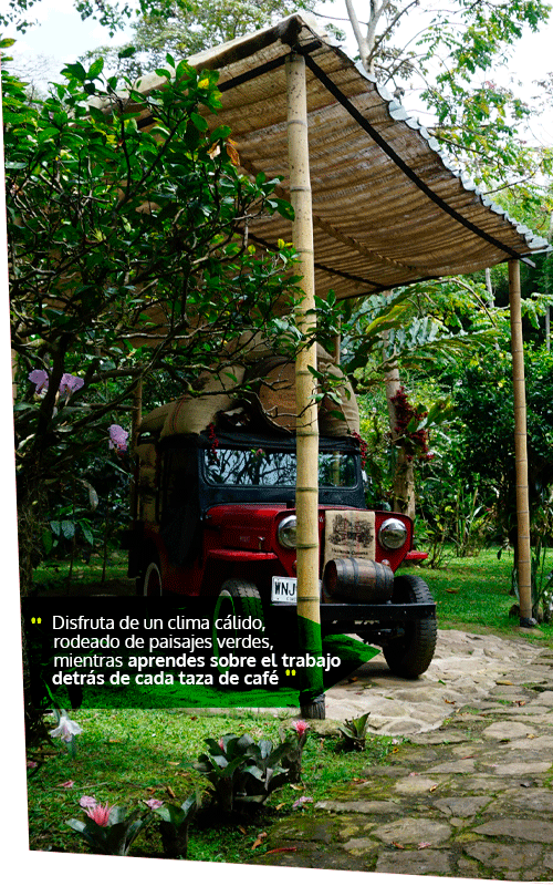 Beyond Colombia Tours | Tour: Experiencia Local de Finca Cafetera