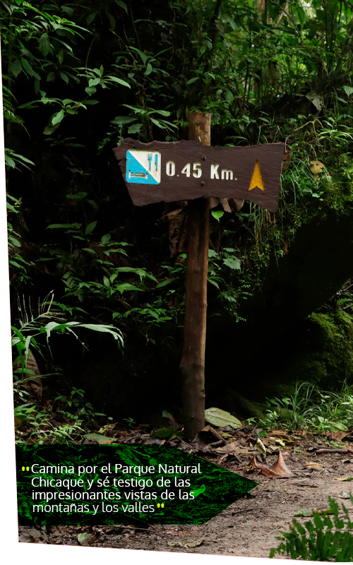 Beyond Colombia Tours | Tour: Tour Caminata Parque Natural Chicaque