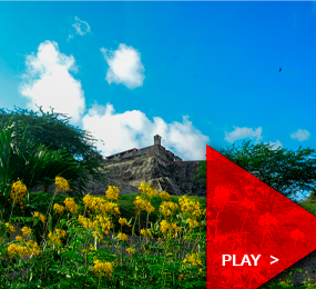 Beyond Colombia Tours | Free San Felipe Barajas Castle Tour