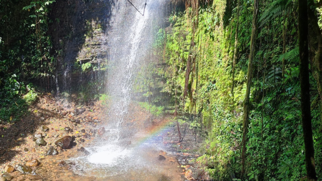 Beyond Colombia Tours | Caminata Cascada Pance "La Esmeralda" Tour