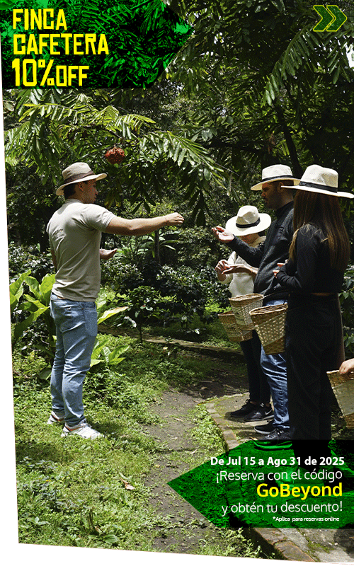 Beyond Colombia Tours | Tour: Local Coffee Farm Experience