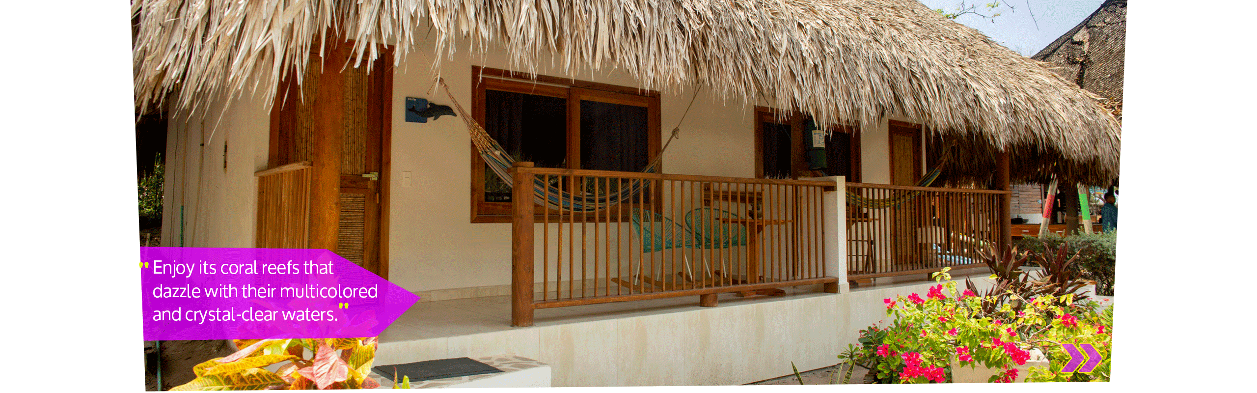 Beyond Colombia Tours | Tour: Isla del Sol Beach Club Day Trip