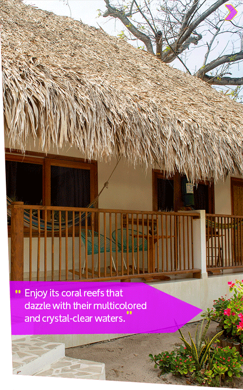 Beyond Colombia Tours | Tour: Isla del Sol Beach Club Day Trip