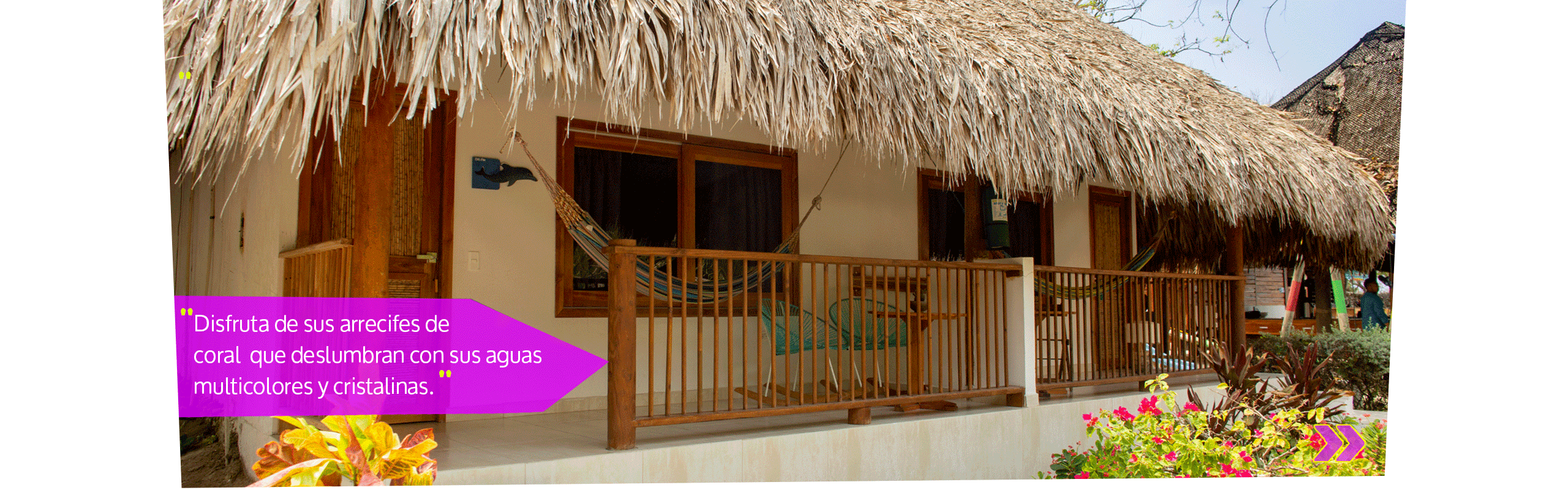 Beyond Colombia Tours | Tour: Pasadía Isla del Sol Club de Playa