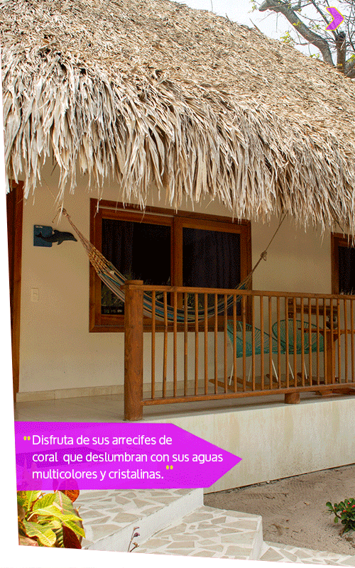Beyond Colombia Tours | Tour: Isla del Sol Beach Club Day Trip