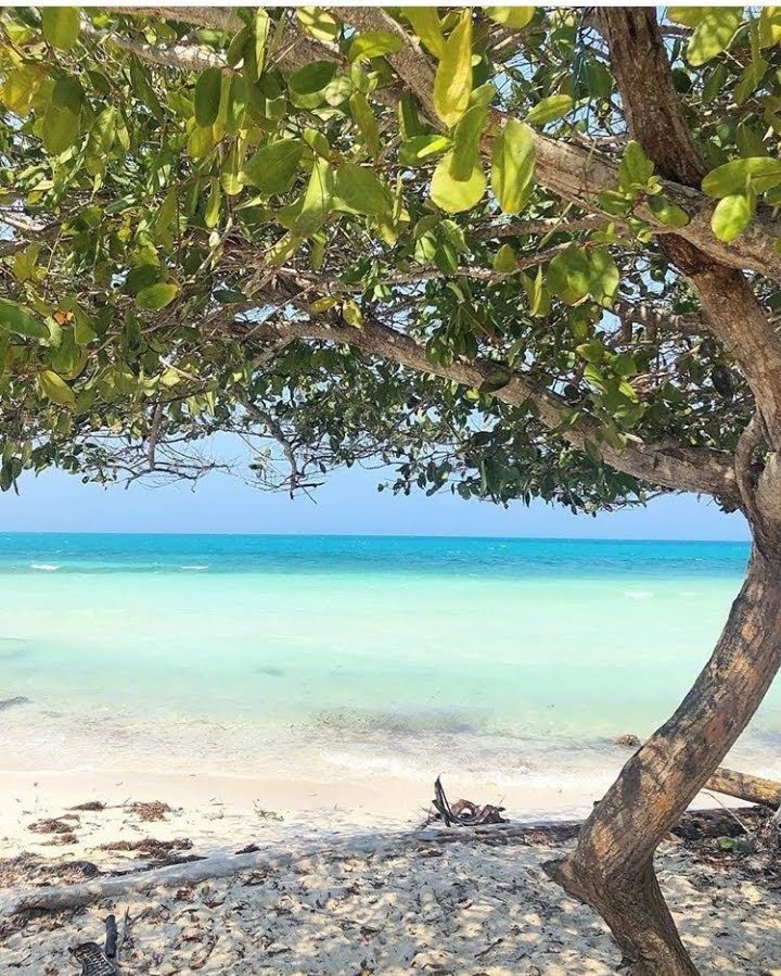 Beyond Colombia Tours | Tour: Day Trip to Múcura and Tintipan Islands at San Bernardo Archipelago