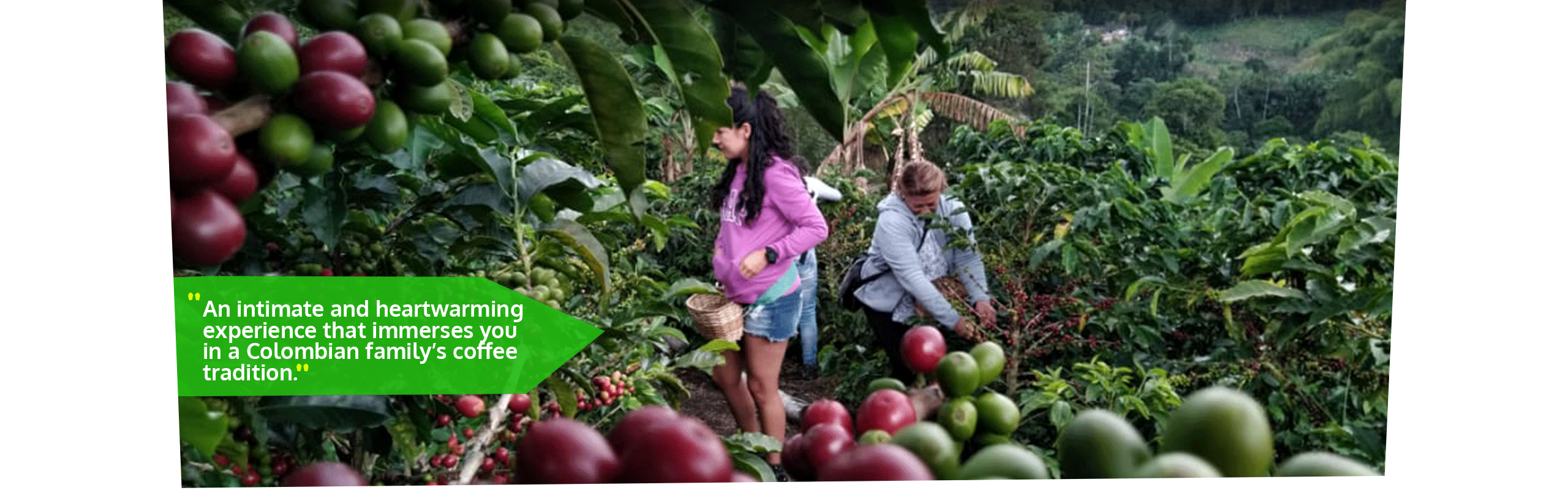 Beyond Colombia Tours | Tour: Buenos Aires Family Coffee Farm Experience