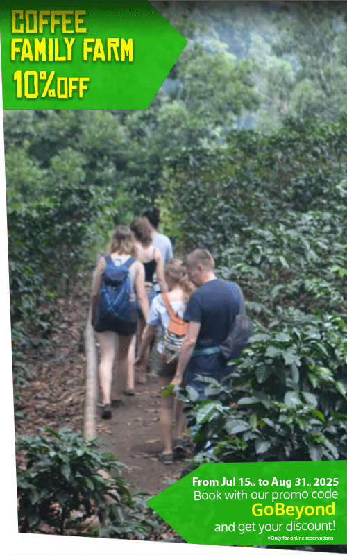 Beyond Colombia Tours | Tour: Buenos Aires Family Coffee Farm Experience