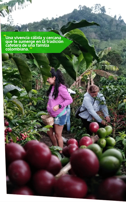 Beyond Colombia Tours | Tour: Buenos Aires Family Coffee Farm Experience