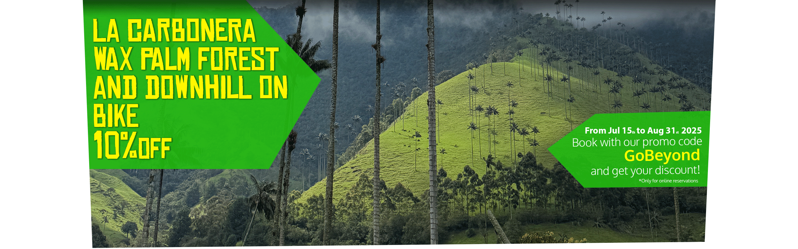 Beyond Colombia Tours | Tour: La Carbonera Wax Palm Forest Hike & Downhill on Bike
