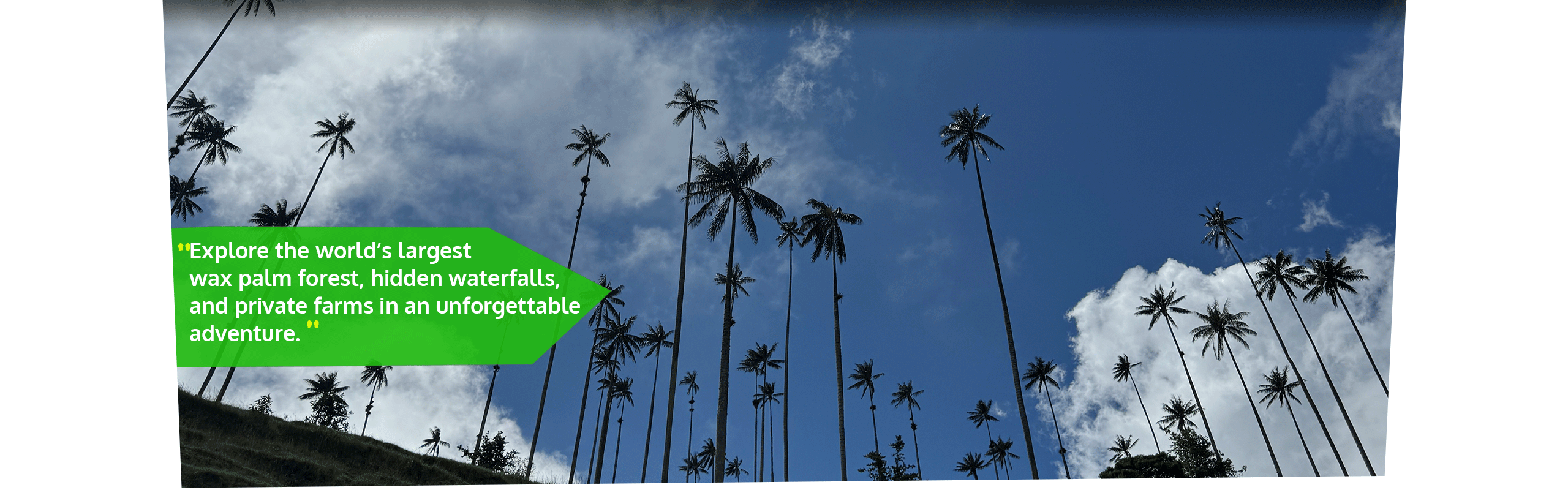 Beyond Colombia Tours | Tour: La Carbonera Wax Palm Forest Hike & Downhill on Bike